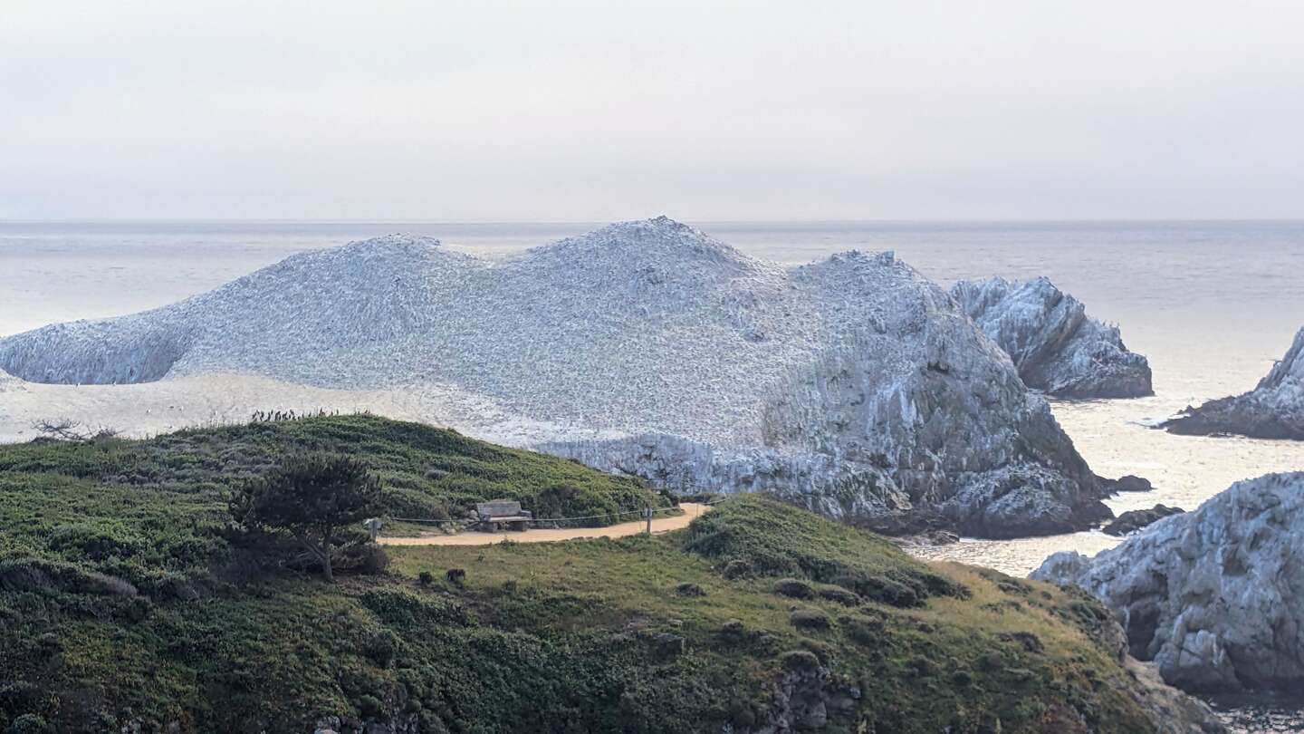 Trail to Bird Island
